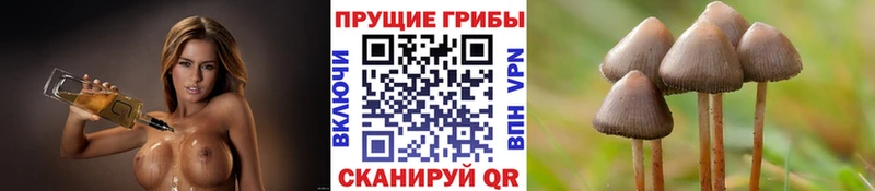 Галлюциногенные грибы MAGIC MUSHROOMS  хочу   Пустошка 