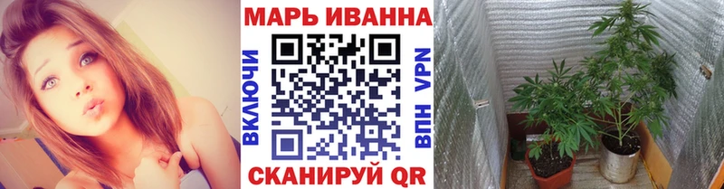 где продают   kraken онион  МАРИХУАНА SATIVA & INDICA  Пустошка 